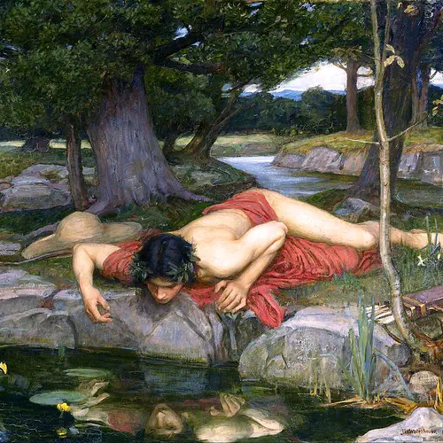 De eeuw van het narcisme