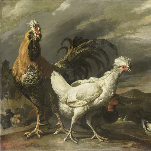 De Hoenders uit het Betere Kippenhok