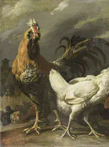 De Hoenders uit het Betere Kippenhok