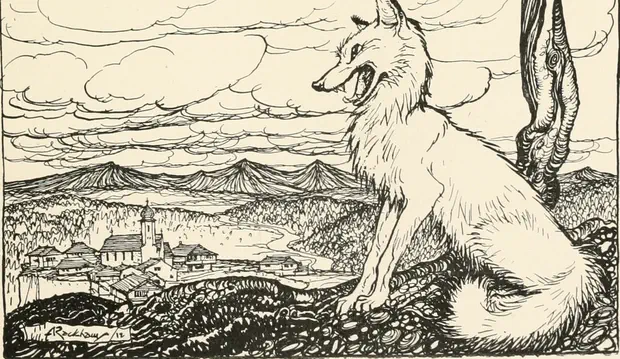 De honden, de vossen, en de mensen in de toren