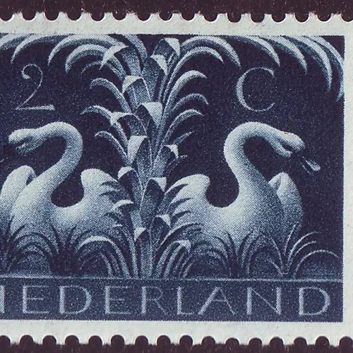 De verbeelding aan de macht