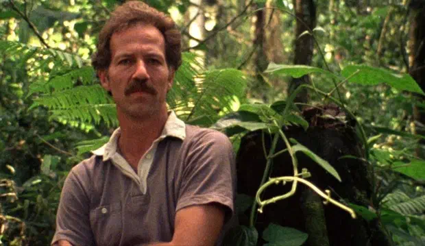 De vogels zingen niet