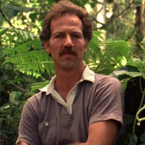 De vogels zingen niet