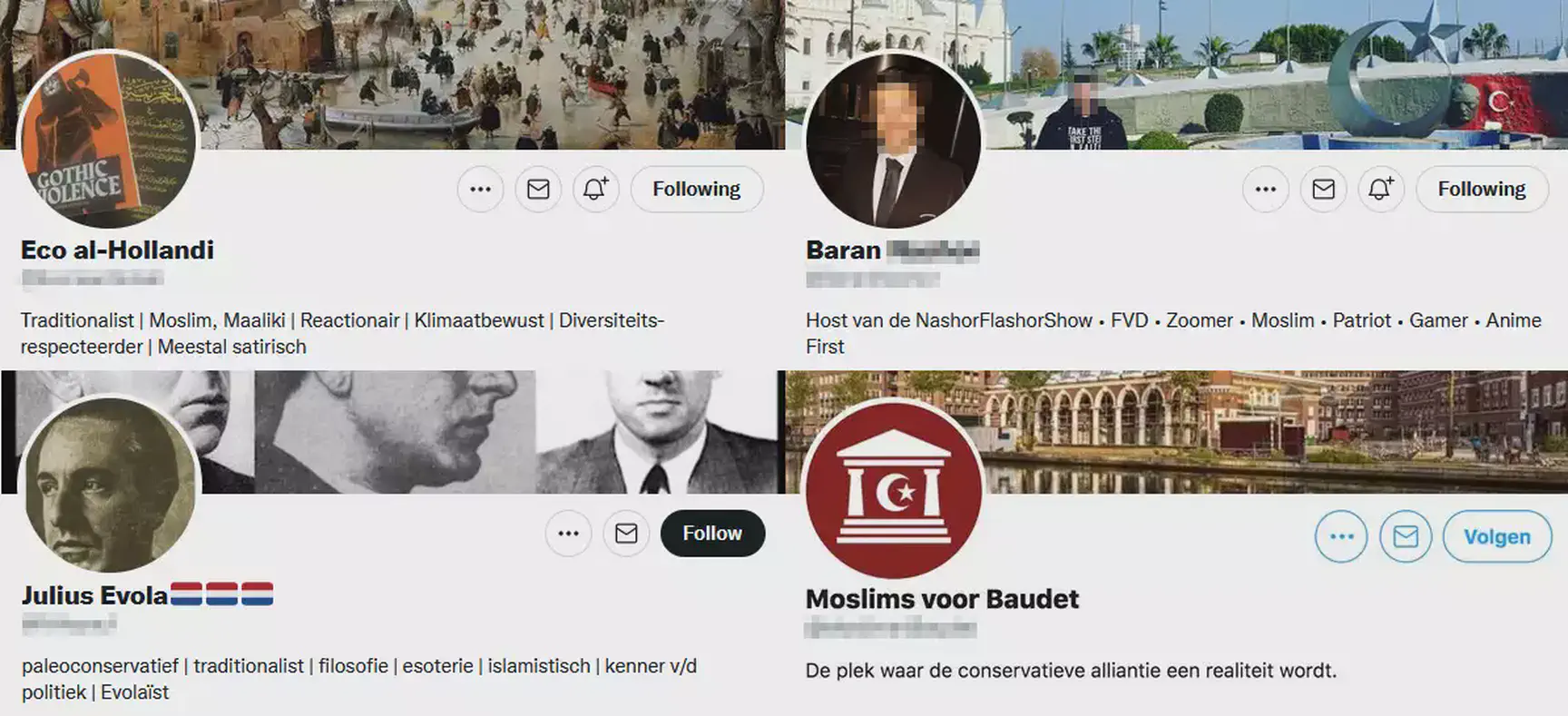 Een aantal reactionaire/conservatieve moslims op Twitter.