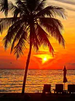 Een vreemdeling op aarde