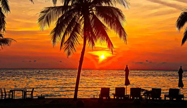 Een vreemdeling op aarde