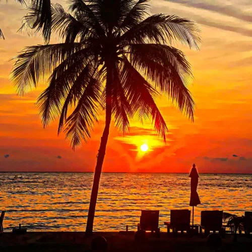 Een vreemdeling op aarde