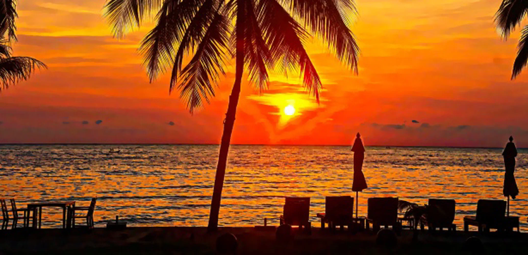 Een vreemdeling op aarde