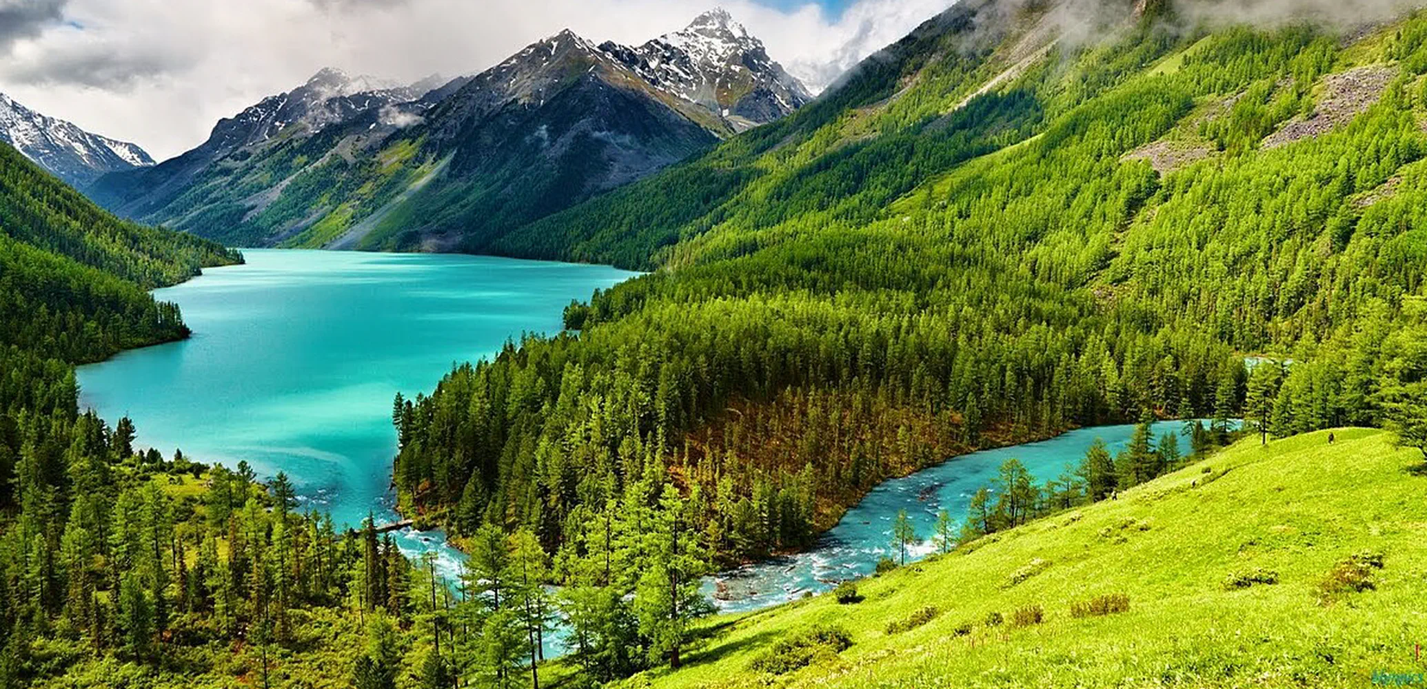 Het boek van de natuur