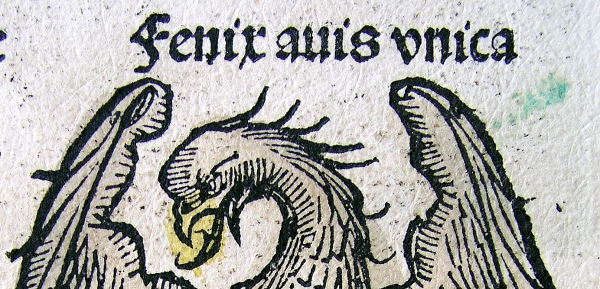 De feniks herrijst uit zijn as, uit de Kroniek van Neurenberg, 1493.
